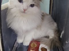 -爱派特动物医院·全科诊疗中心