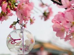 -宝墨园景区