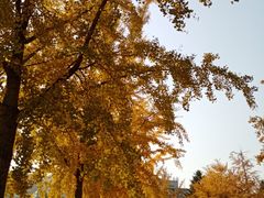 -大连理工大学(凌水校区)