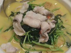 -刘胖子家常菜·蹄花焖藕(中南店)