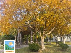 -刘公岛景区