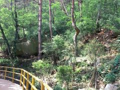 -崂山九水游览区