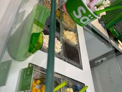 -Salud撒露欧洲冻酸奶(蓝色港湾店)