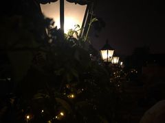 -Sirena海妖日咖夜酒