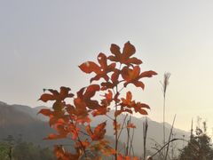 -会稽山峡洞漂流-上青古道