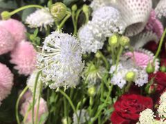 -何兮花店·气球派对鲜花店(马桥银春路万科城店)