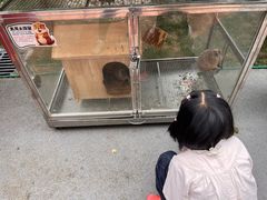 -青岛鑫江温德姆酒店