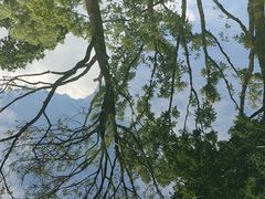 -云溪植物园