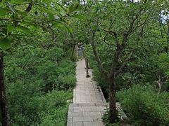-牛背梁国家森林公园