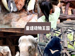 -长鹿旅游休博园