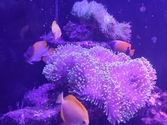 -宁波海洋世界-售票处