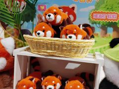 -畹町(公益西桥华联店)
