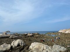 -养马岛旅游度假区