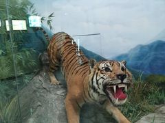 -国家自然博物馆