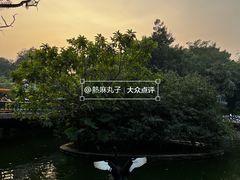 -深圳野生动物园