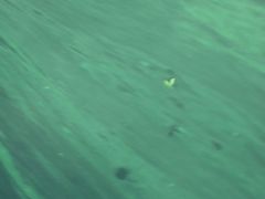 -杭州城北体育公园