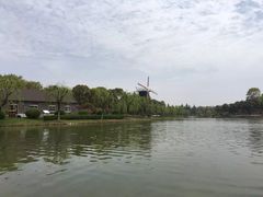 -上海鲜花港