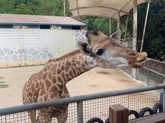 -泉州海丝野生动物世界
