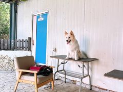 -汪说喵讲宠物乐园宠物酒店(红星美凯龙店)