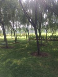 -大望京儿童游乐场