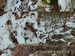 -少华山国家森林公园