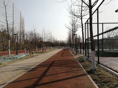 -东升文体公园