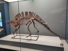 -湖南省地质博物馆