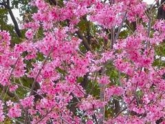 -梁鸿国家湿地公园