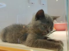 -龟与熊猫宠物公园(南坪店)