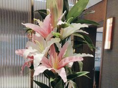 -鑫小城故事·藕汤·家常菜(台北一路总店)