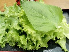 -香猪坊(五道口店)