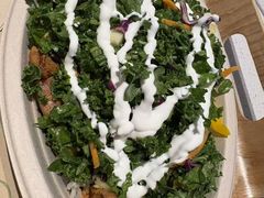 -油梨树 AVOCADO TREE(亮马桥店)