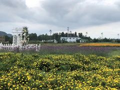 -云漫湖生态度假公园