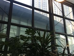 -大树餐厅(红旗街万达店)