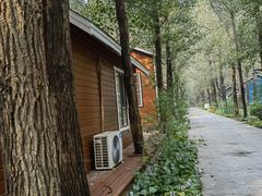 -林栖谷森林康养度假区