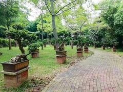 -广东茂名森林公园