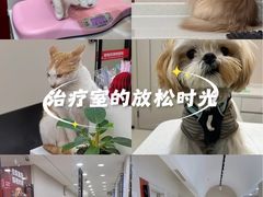 -御宝贝24h宠物医院·转诊中心·CT核磁血透中心(厦门总院)