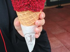 冰淇淋-VENCHI 闻绮(上海佛罗伦萨小镇店)