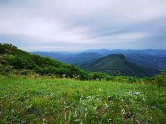 -白草畔自然风景区