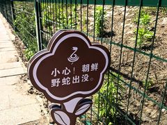 -图们国门景区
