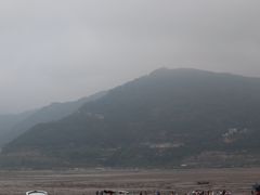 -北岐滩涂