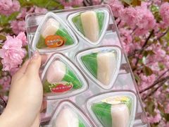 -元祖食品GANSO(星沙店)