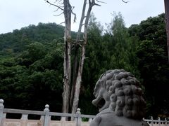 -灵光寺