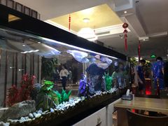 餐厅-水立方国际汤泉(六一中路店)