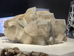 -重庆自然博物馆(新馆)