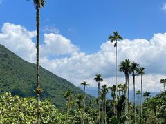 -海南热带雨林国家公园吊罗山景区
