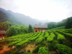 -姑婆山旅游区