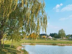 -安德鲁户外烧烤帐篷营地(马泉营店)