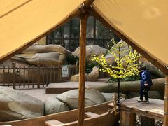 -杭州开元森泊度假乐园