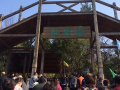 iphone_upload_pic-天目湖山水园